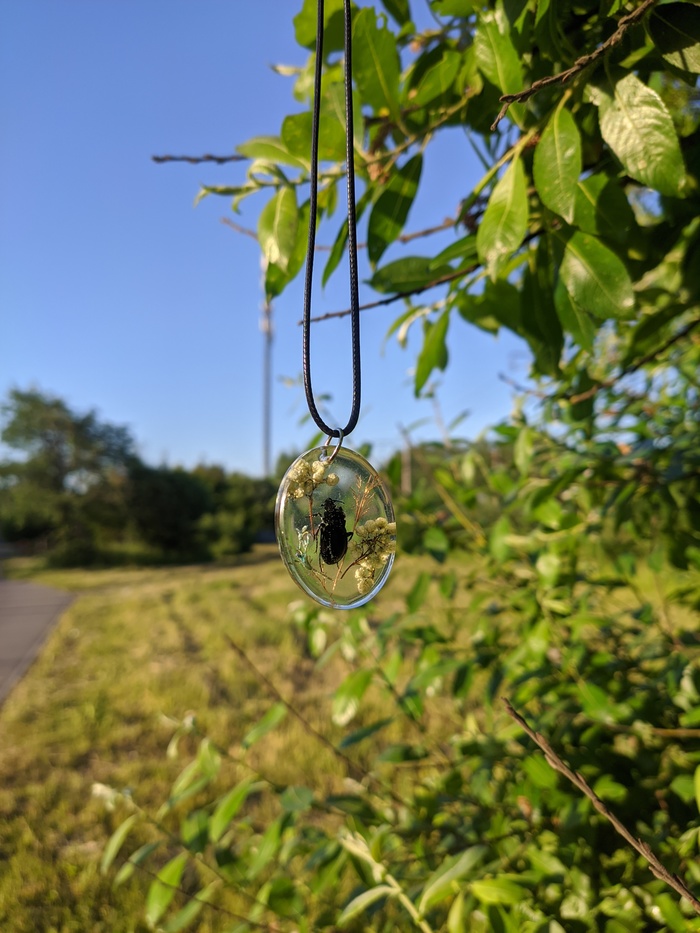 Украшение с жуком в естественной среде обитания