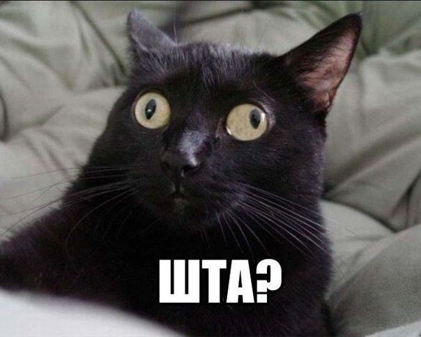 ���������� � ���� - �� ������������