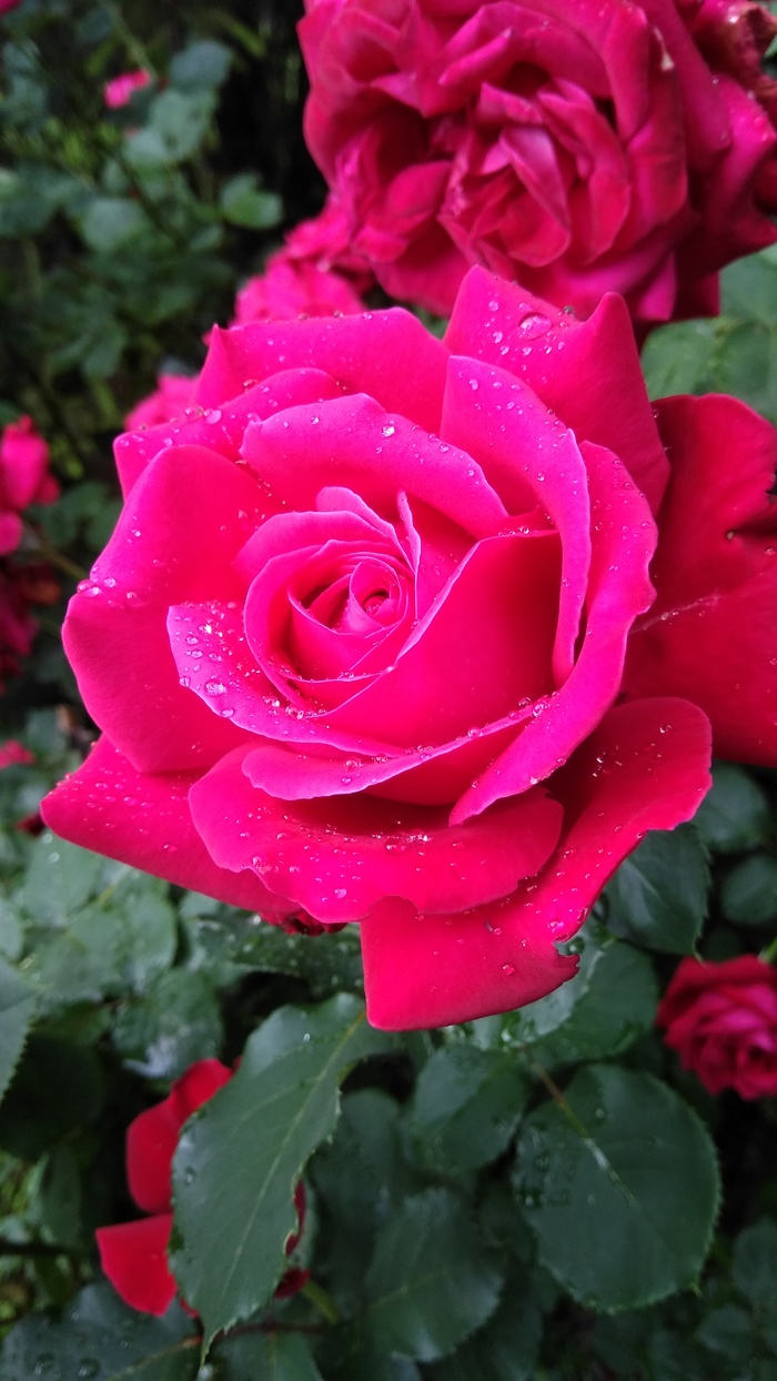 ����� ��������, � �������