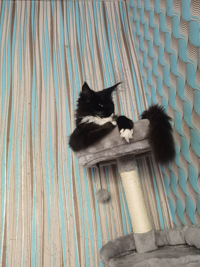 Шеф, трогай. Я сел