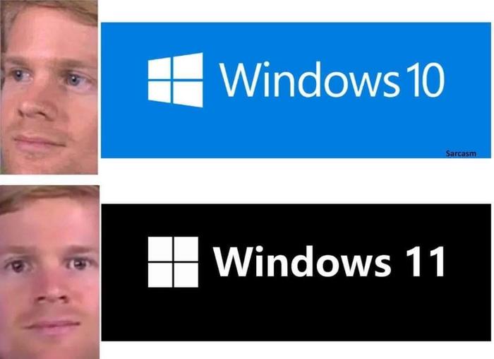   , Windows 10, Windows 11