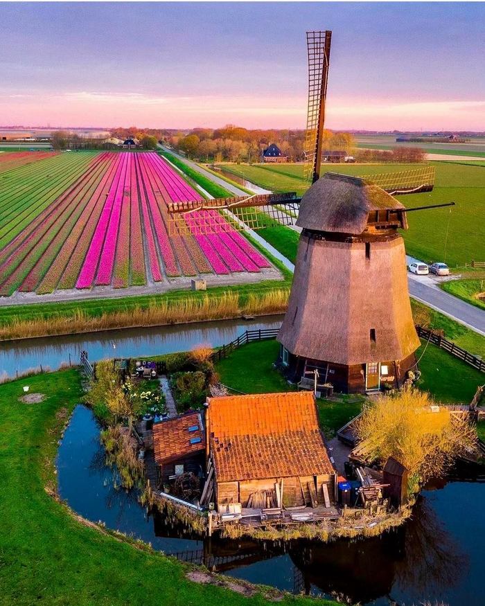 Нидерланды