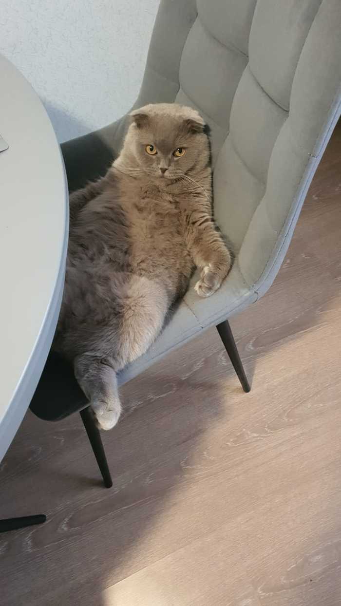   , , 