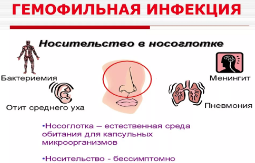 все в детстве делали это что 100 к 1. Смотреть фото все в детстве делали это что 100 к 1. Смотреть картинку все в детстве делали это что 100 к 1. Картинка про все в детстве делали это что 100 к 1. Фото все в детстве делали это что 100 к 1