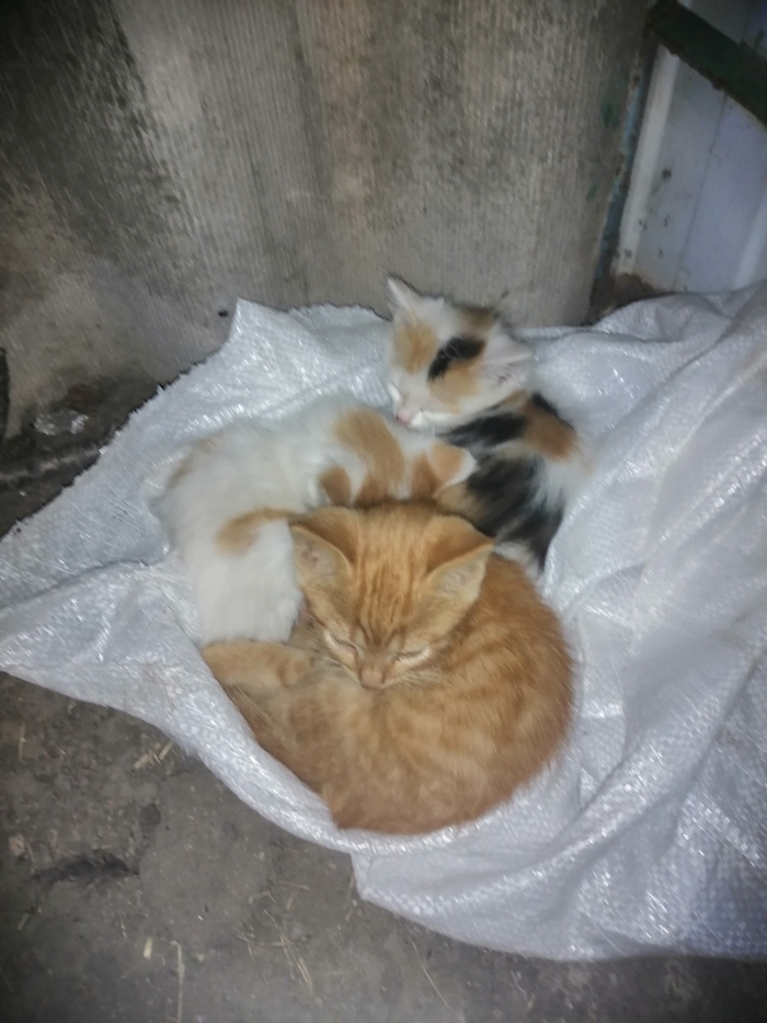    ,      , Huawei, 