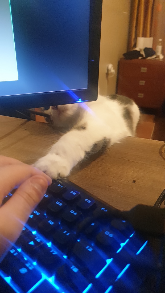 ������ ������  ������� ����