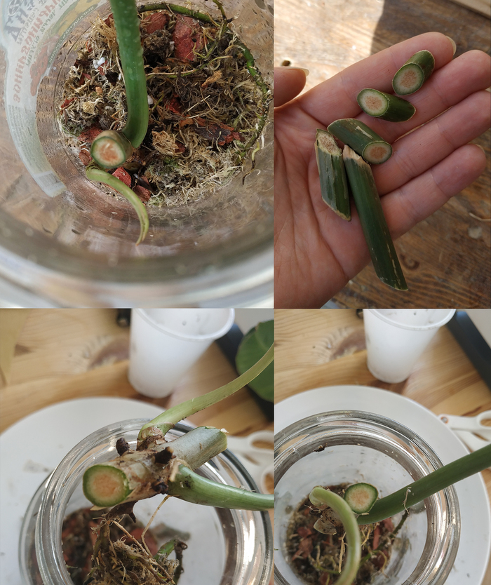 Помогите, пожалуйста, разобраться, что со стволом