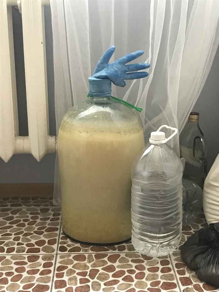 Голосование подходит к концу