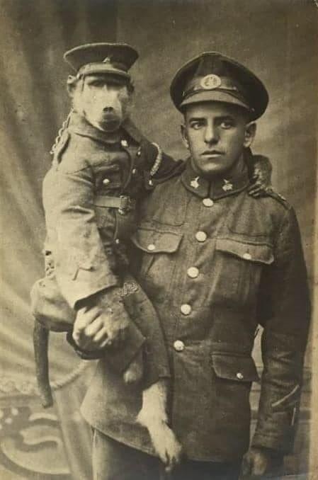 ������� � �����