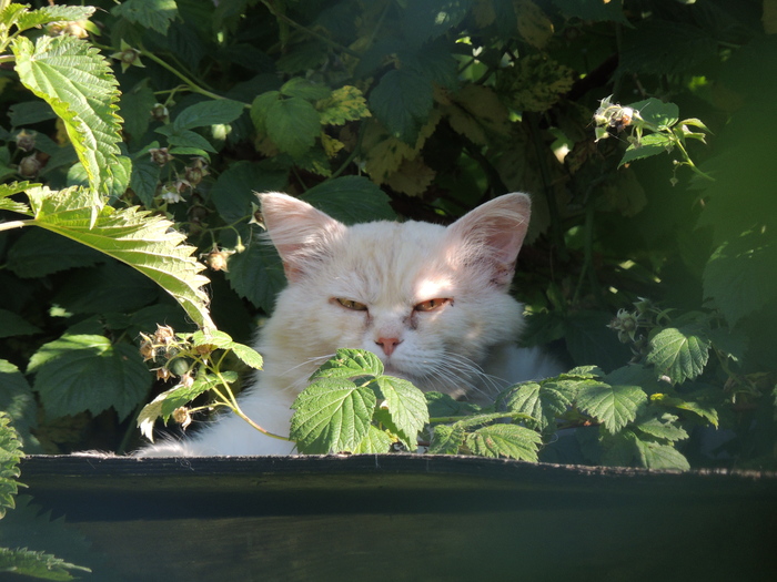 Но ты просишь без уважения...