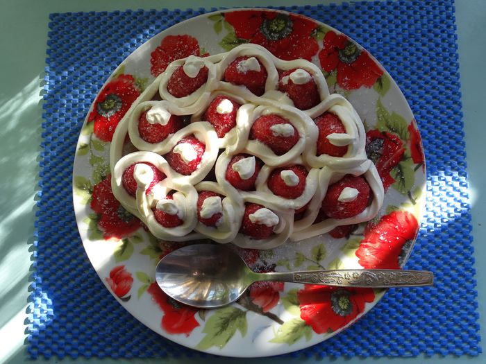 ������ ��������