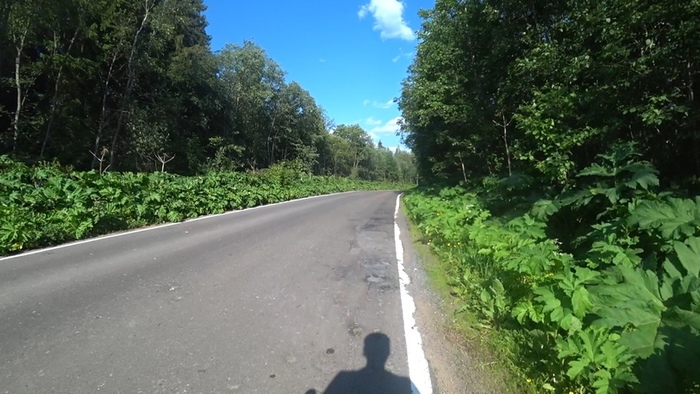 Часть веломаршрута