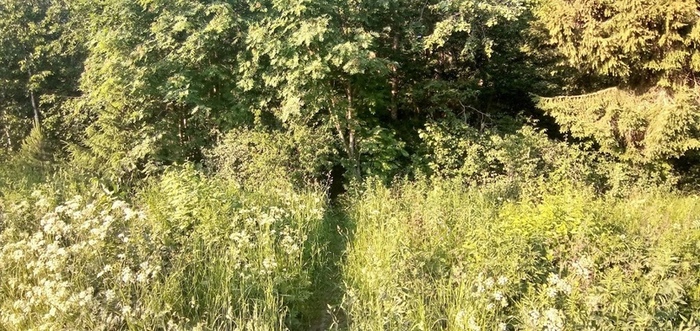 Часть веломаршрута