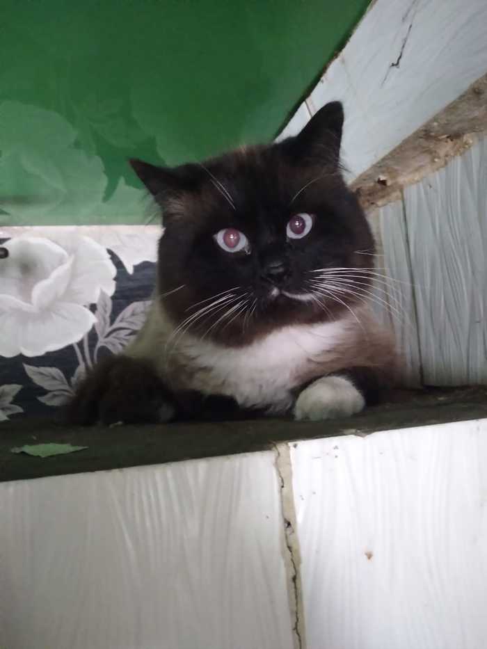 ��������� �����, ��������� �� ���������� �������� ���� ���