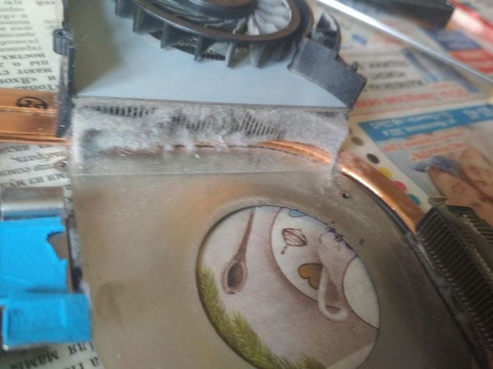 Все мы иногда бываем тупенькими