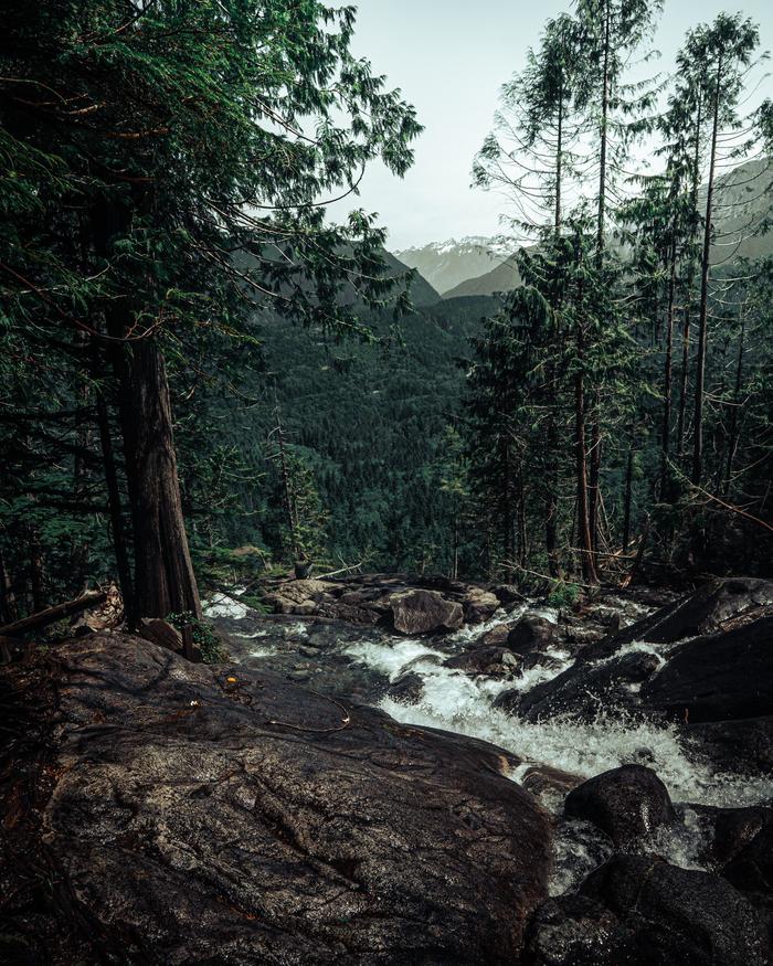 ���� ���������, ���