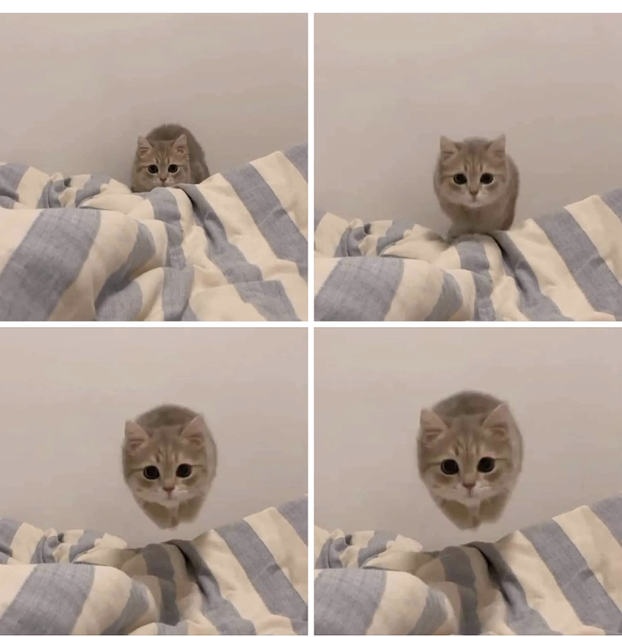 �������� �������