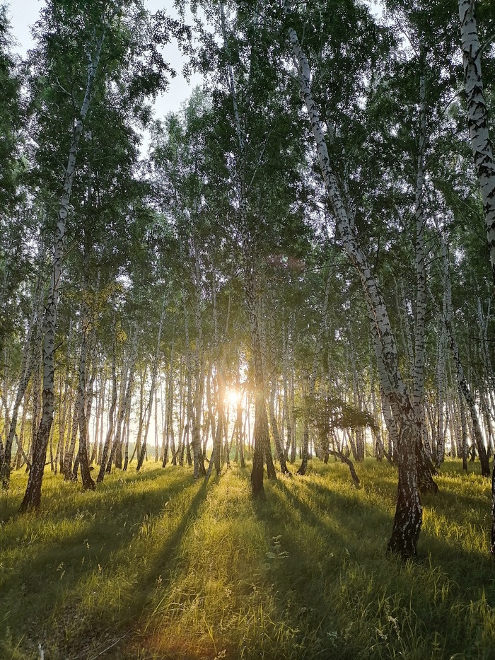 ���. 5 ����