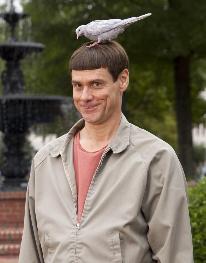 Наитупейшая идея