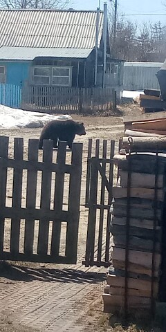      ,    ...      ,    , , ...