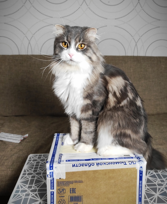 Фанатский обмен (Тюмень - Миасс)