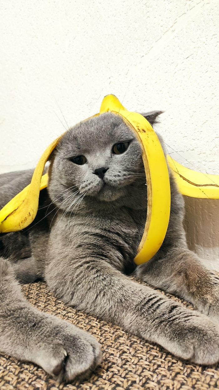 ��������� ���������