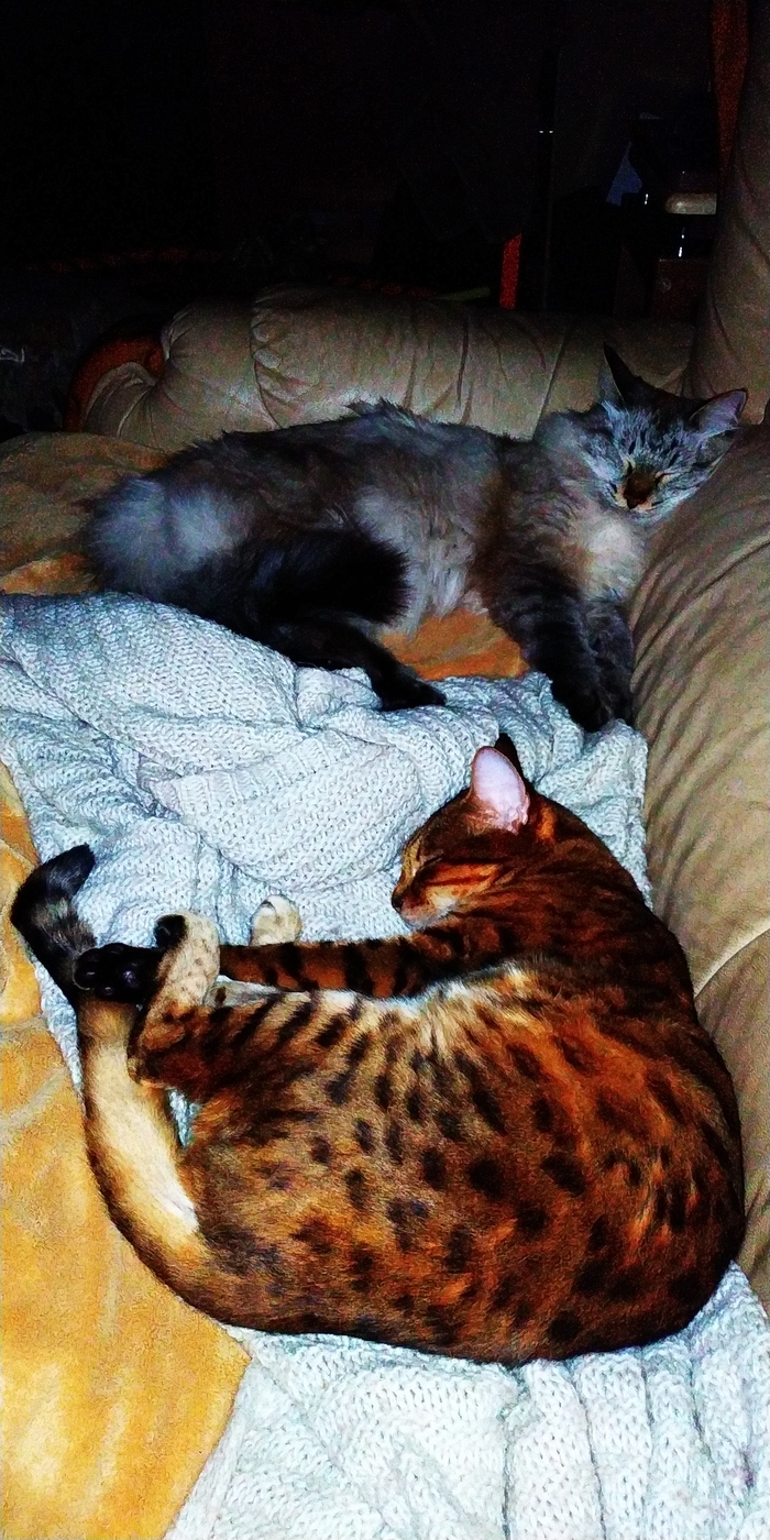 ��� ��� ����� � �� ��� �����!