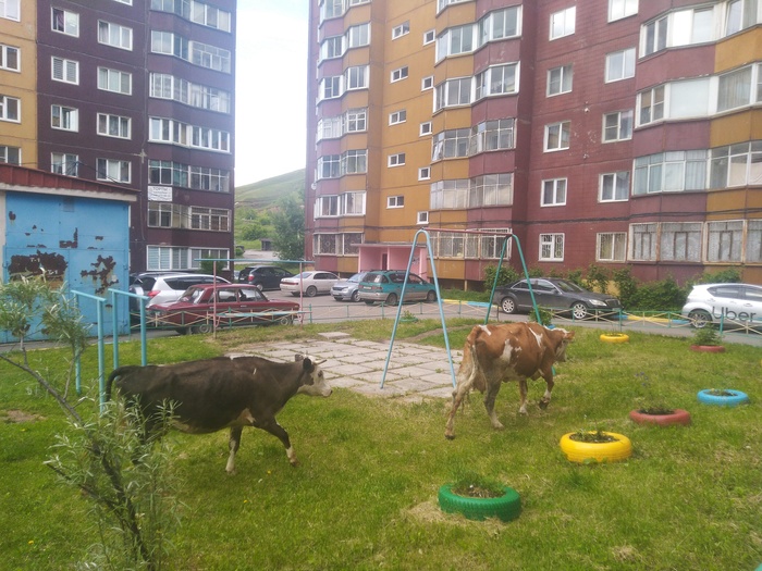   !    -  , 33 