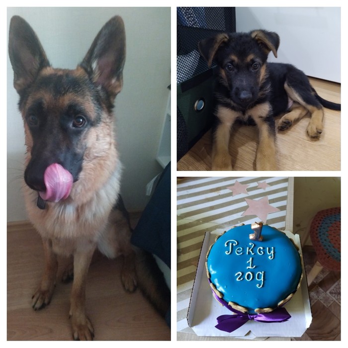 ����� 1 ���