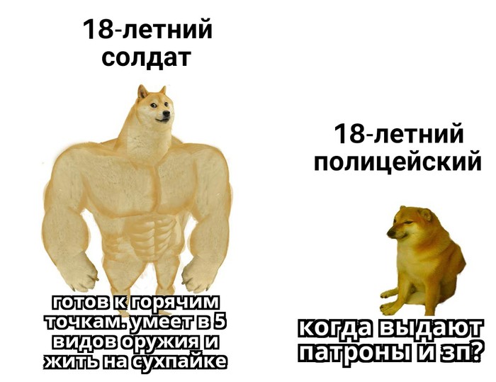 ������ ���?