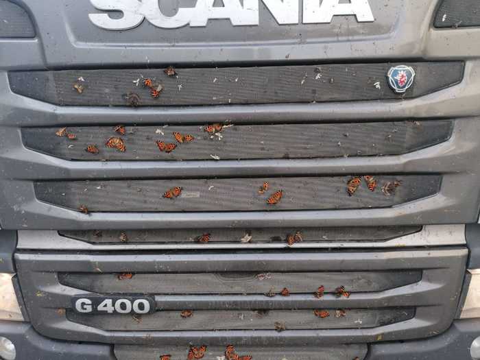 �������