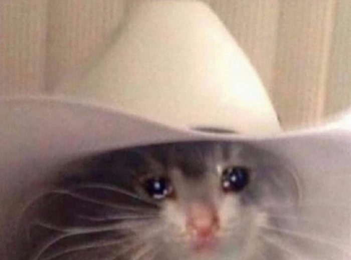 � �� ���� ��� ������