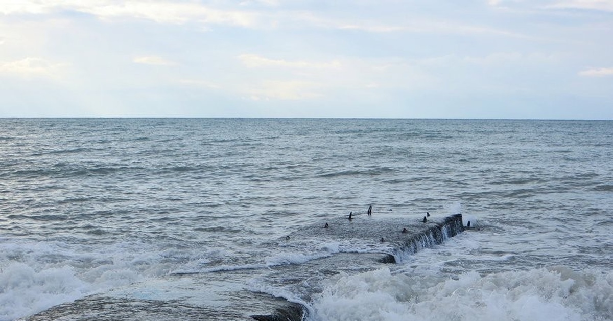 Волнорез в море черном