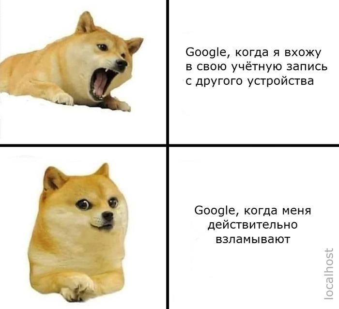    IT , Google, , Doge,  