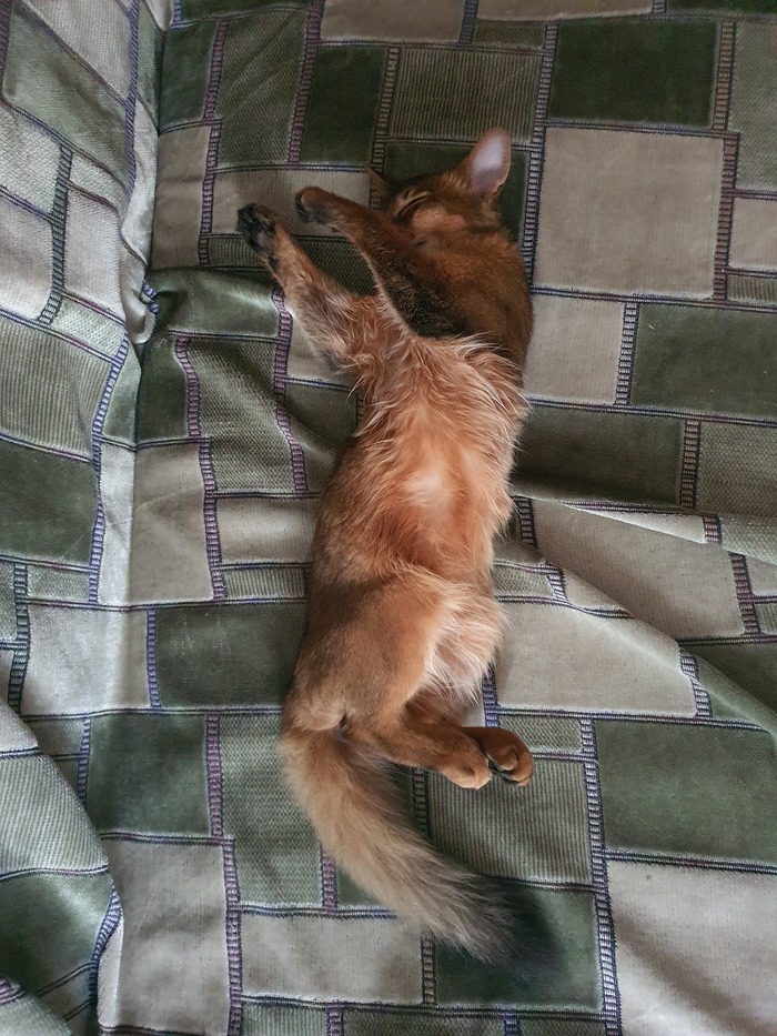 Когда не решил в какую сторону спать