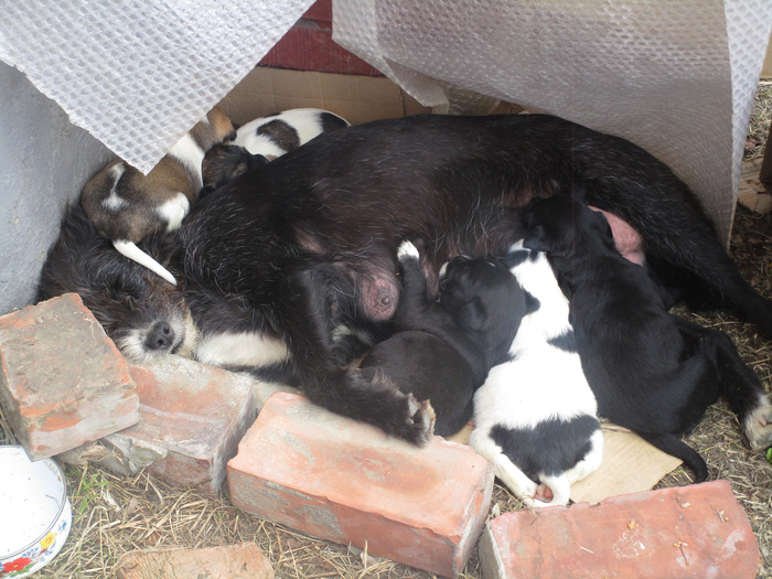 ����� ���