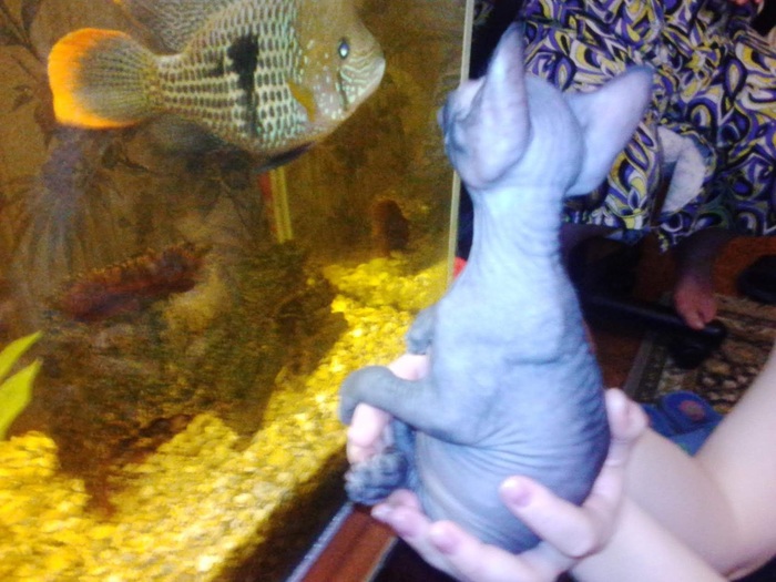 Играем в гляделки