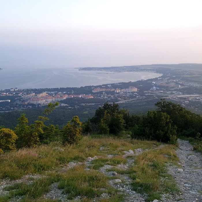  ZelenyyKarandash     .   