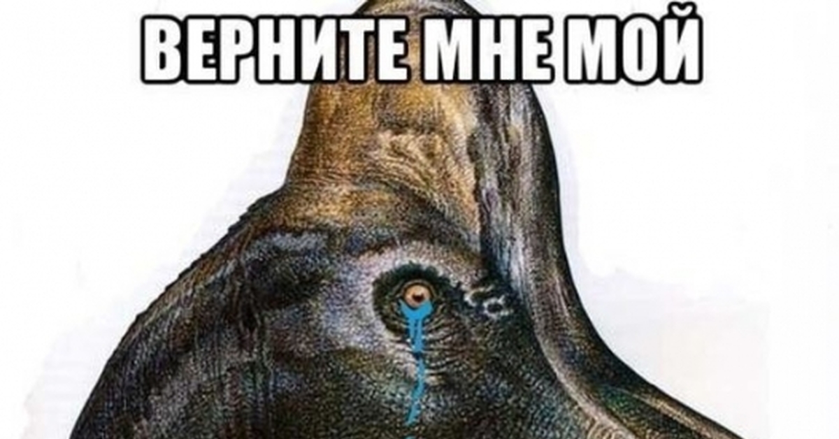 Мемы про эры. Эра мемов. Новая эпоха мем. Ера мем. Ера мем.