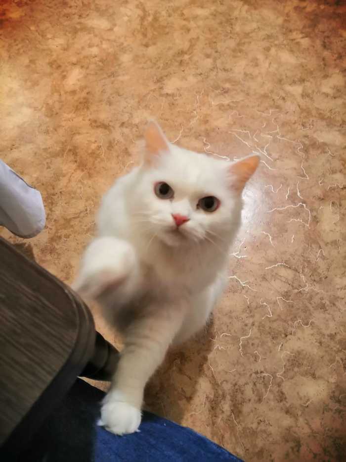 .       , ,  , , 