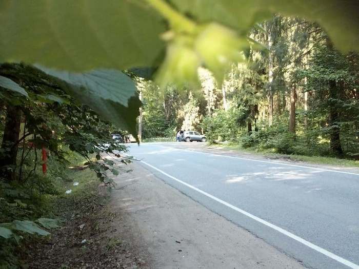 Заметка о пляже на базе отдыха «Троицкое» Клязьминского водохранилища Пляж, Подмосковье, Длиннопост