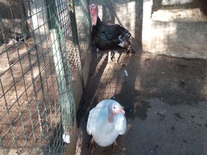 Заметка о пляже на базе отдыха «Троицкое» Клязьминского водохранилища Пляж, Подмосковье, Длиннопост