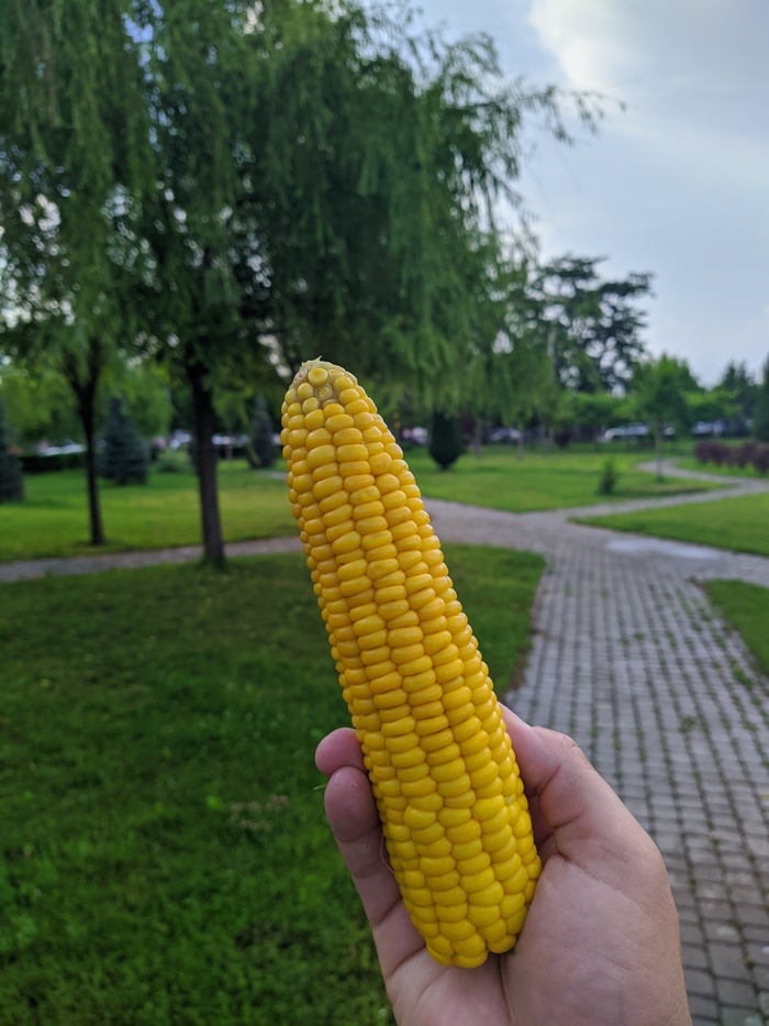 Царица полей | Пикабу