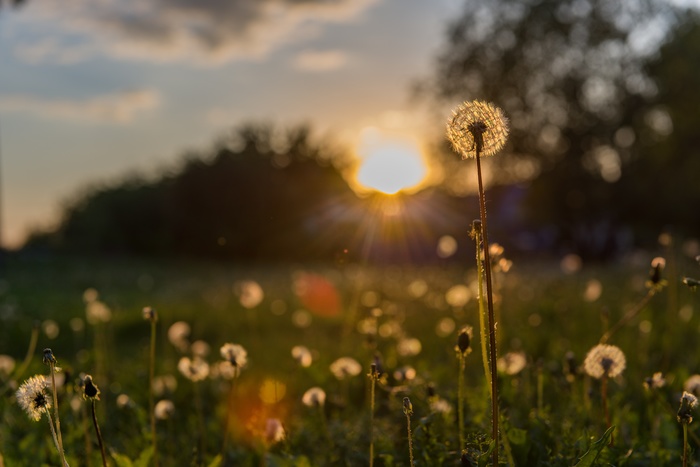 Доброго утра