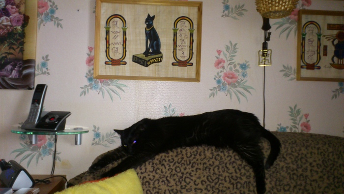 Маргана уверенна, что портрет писали с неё