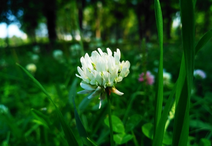 ������-����������