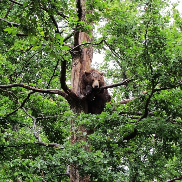 Слушаю тебя внимательно. Рассказывай