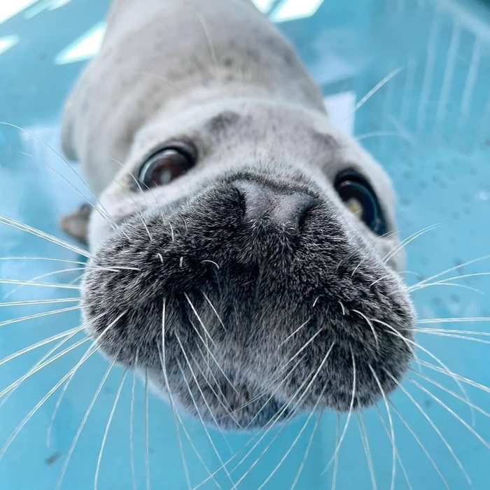 В носик "пунь"