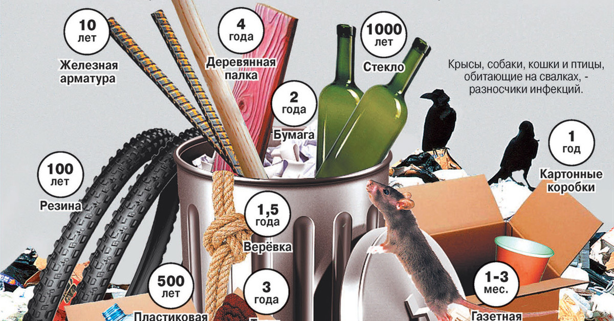 Сколько разлагаются собаки. Сроки разложения бытовых отходов.