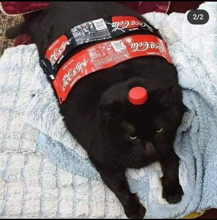    .    Tactooncat, , Coca-Cola, , , 
